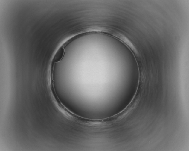 X0000111621132200907171239