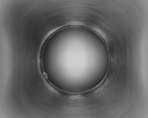 X0000111621133200907171239