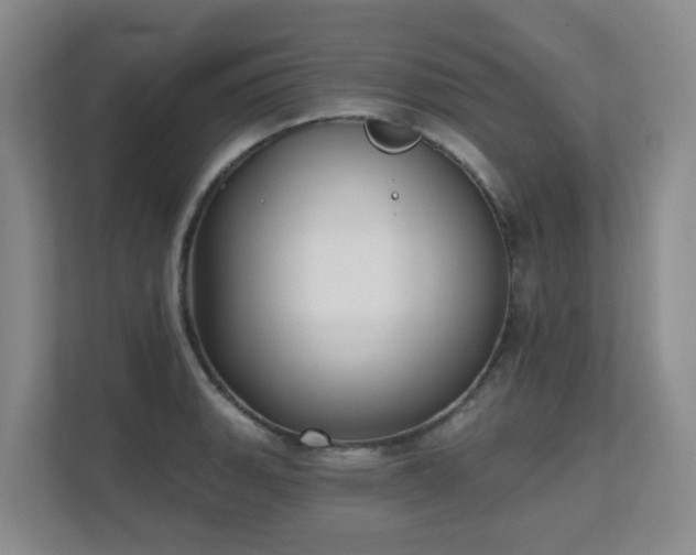 X0000111621135200907171239