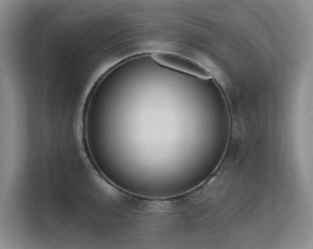 X0000111621136200907171239