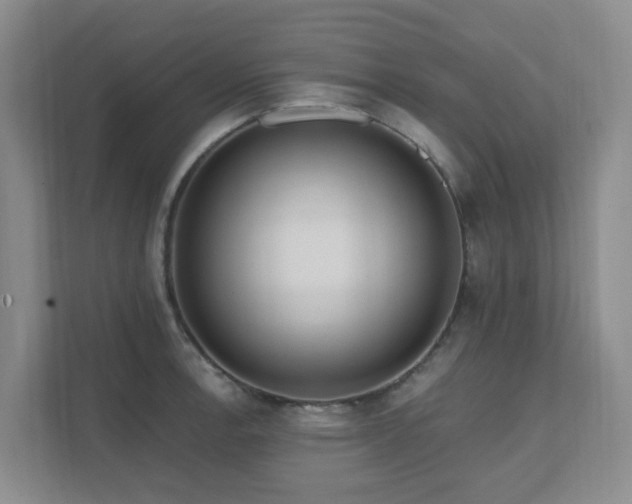 X0000111621138200907171239