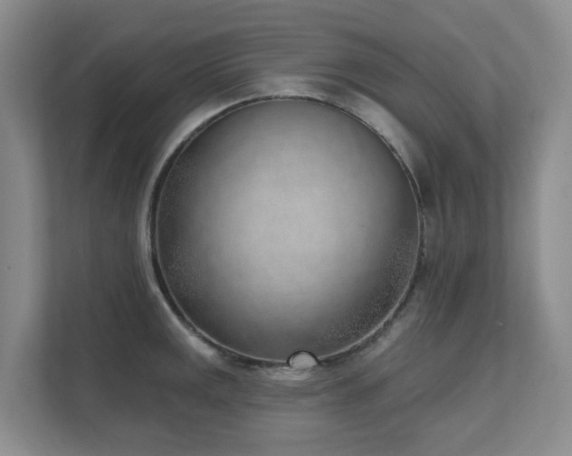 X0000111621141200907171239