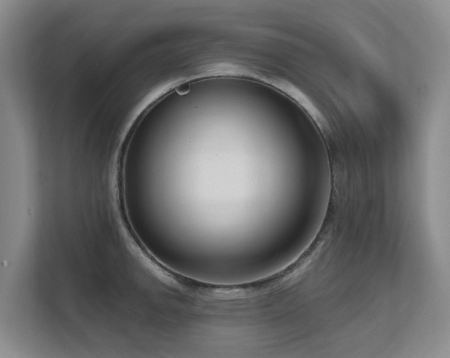X0000111621142200907171239
