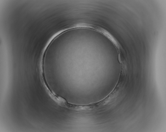 X0000111621148200907171239