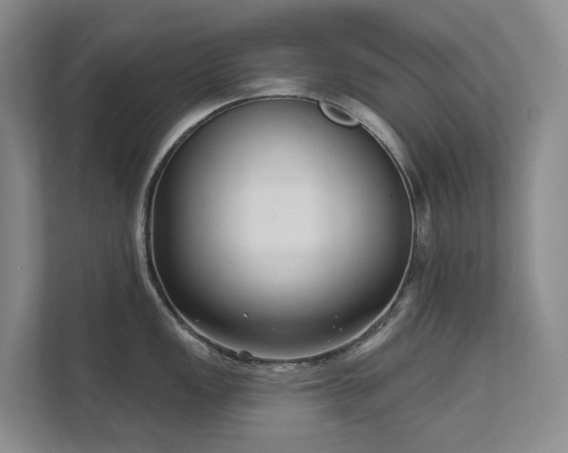 X0000111621149200907171239