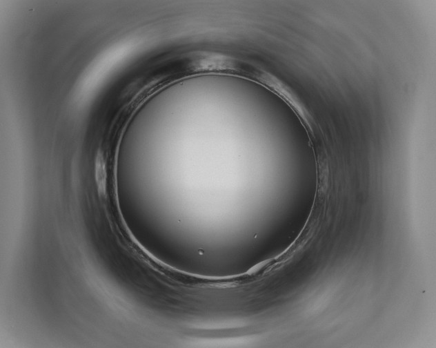 X0000111621151200907171239