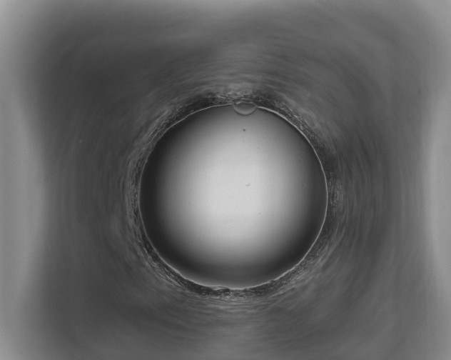 X0000111621153200907171238