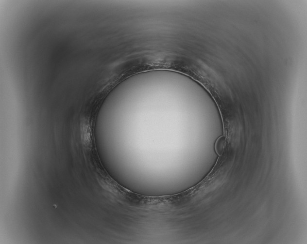 X0000111621154200907171238