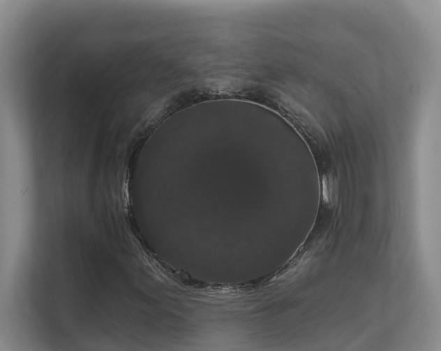 X0000111621155200907171238