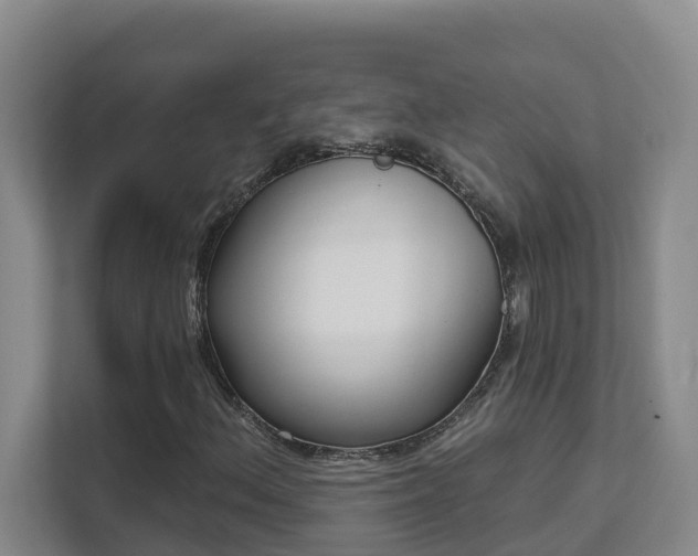 X0000111621156200907171238