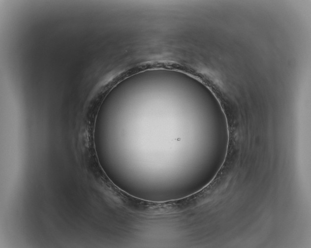 X0000111621159200907171238