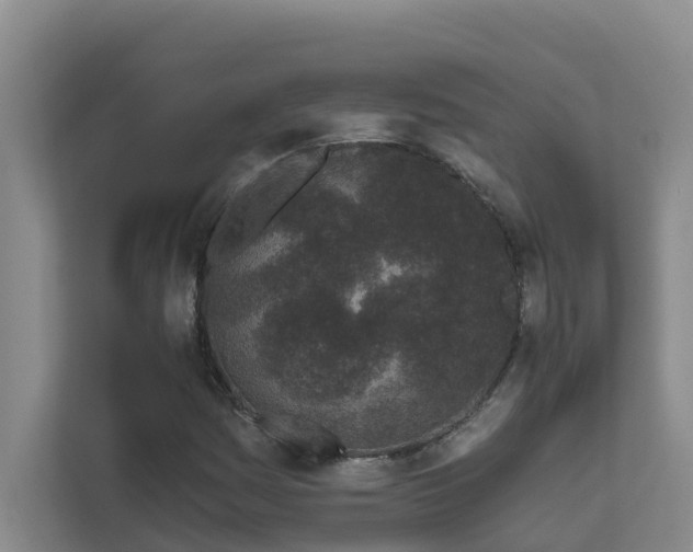 X0000111621161200907171238