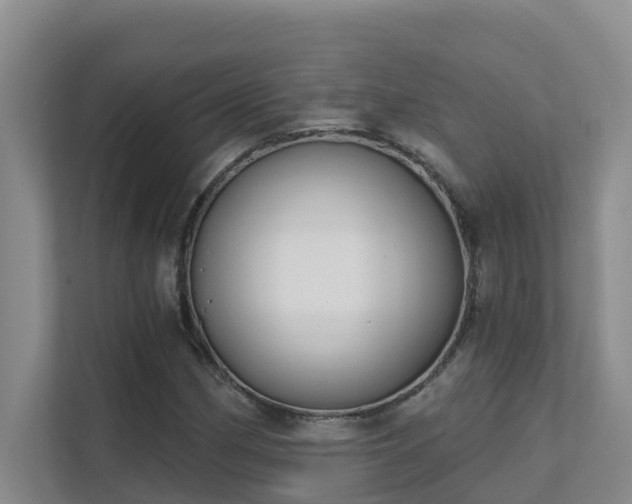 X0000111621162200907171238