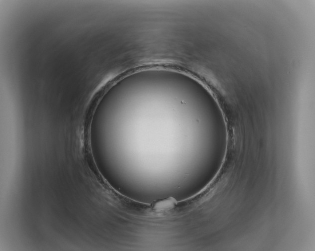 X0000111621165200907171238
