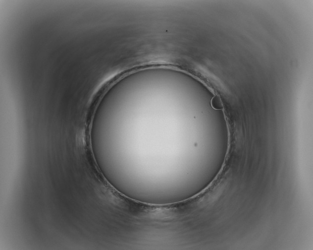X0000111621166200907171238