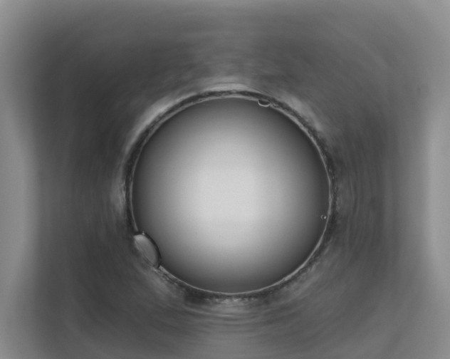 X0000111621167200907171238