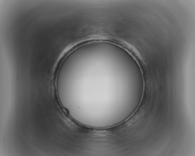X0000111621168200907171238