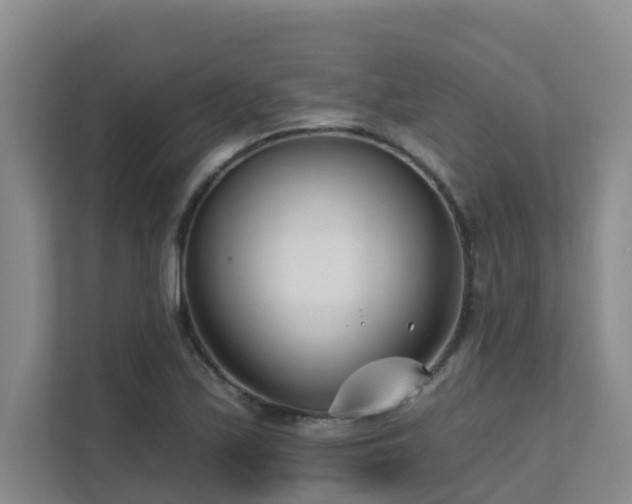 X0000111621171200907171238