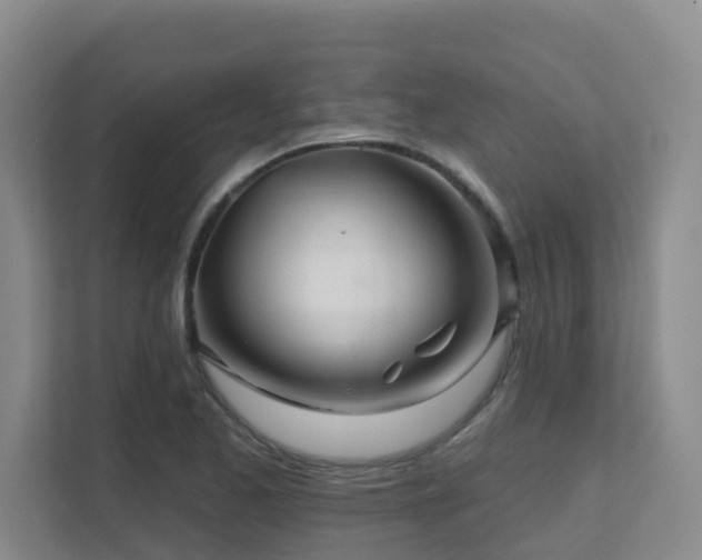 X0000111621173200907171238