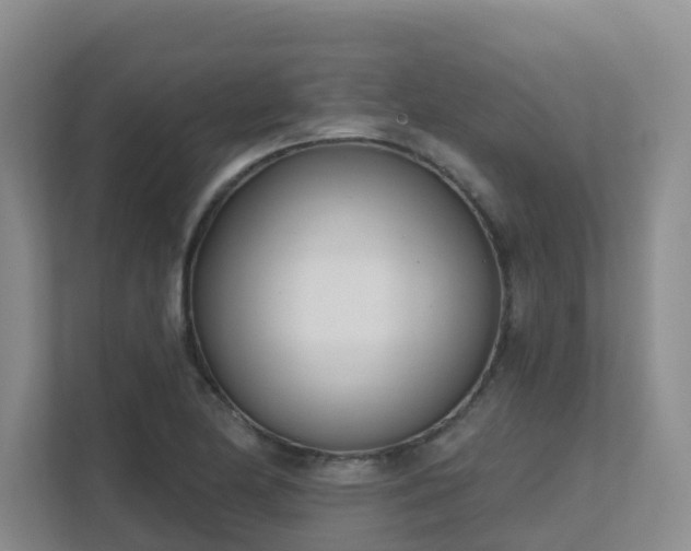 X0000111621174200907171238