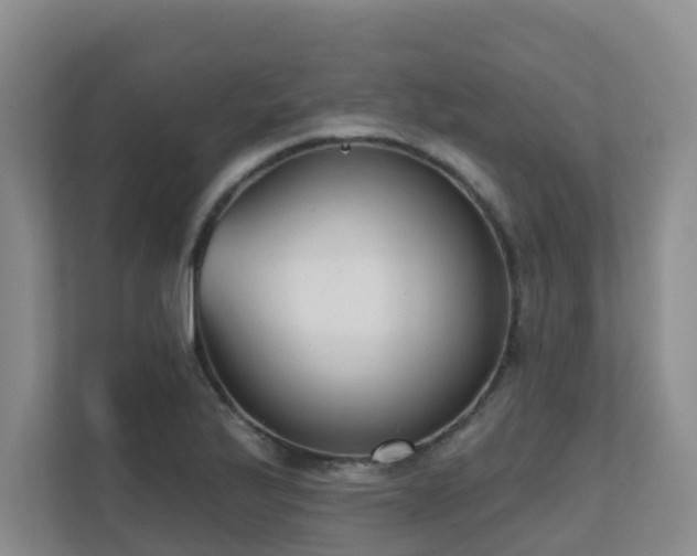 X0000111621175200907171238
