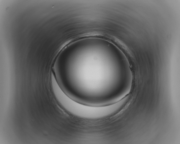 X0000111621177200907171238