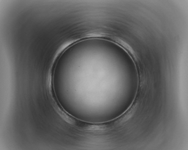 X0000111621179200907171238