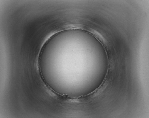 X0000111621182200907171238