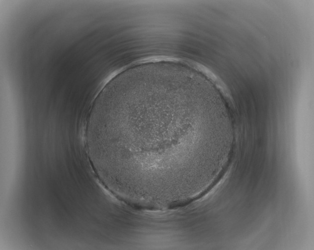 X0000111621185200907171238