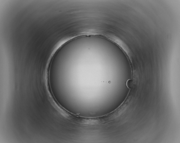 X0000111621187200907171238