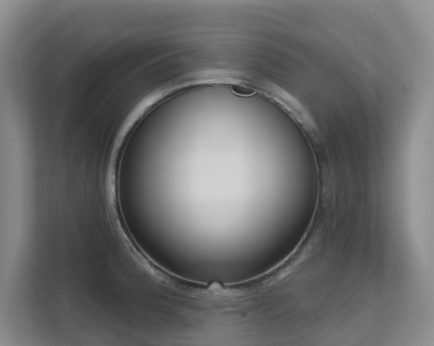X0000111621188200907171238