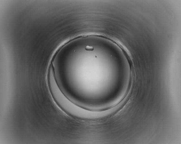 X0000111621189200907171238