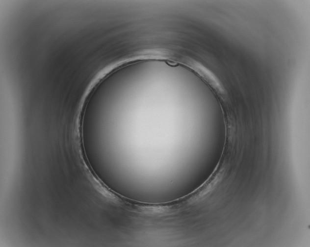 X0000111621192200907171238