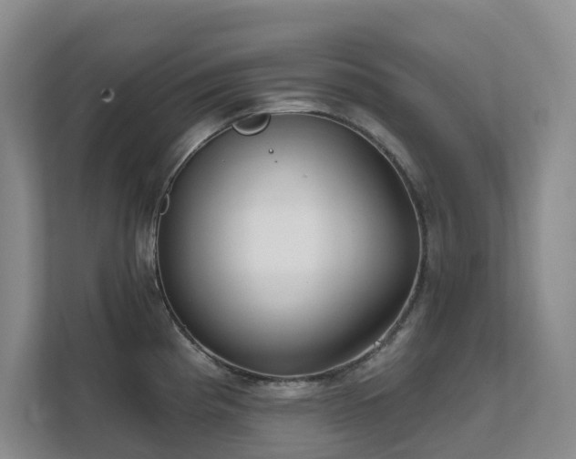 X0000111621193200907171238