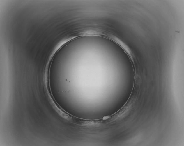 X0000111621195200907171238
