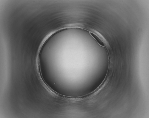 X0000111621196200907171238