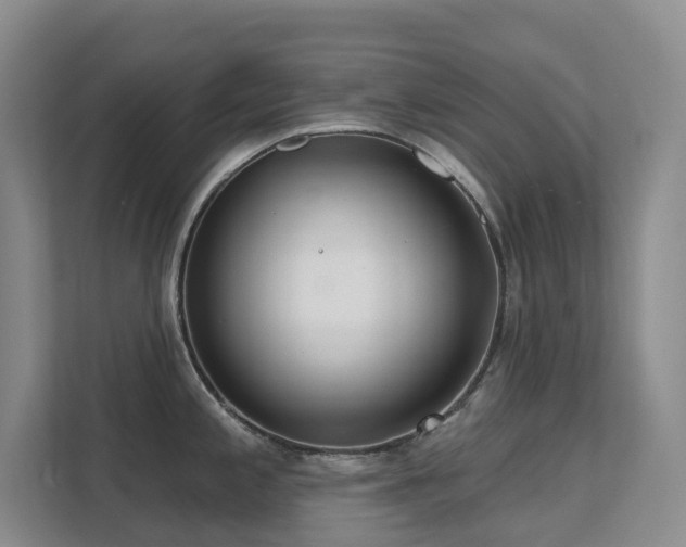 X0000111621197200907171238