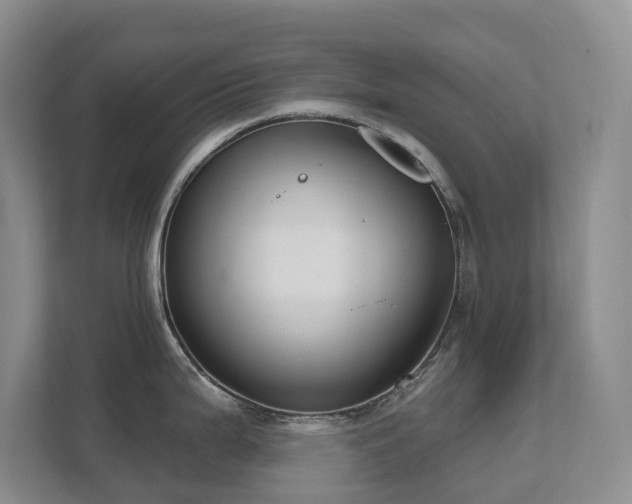 X0000111621199200907171238