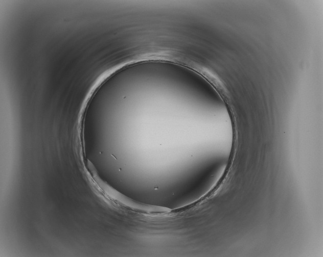 X0000111621200200907171238