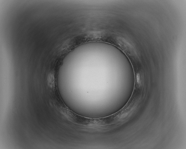 X0000111621203200907171237