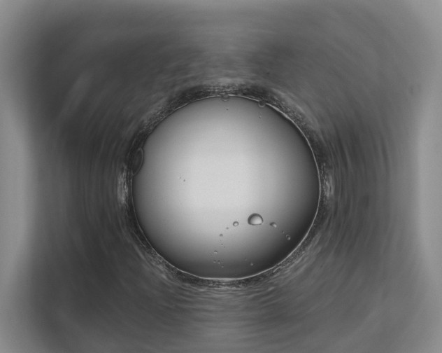 X0000111621204200907171237