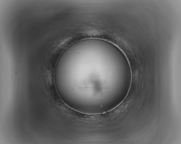 X0000111621205200907171237