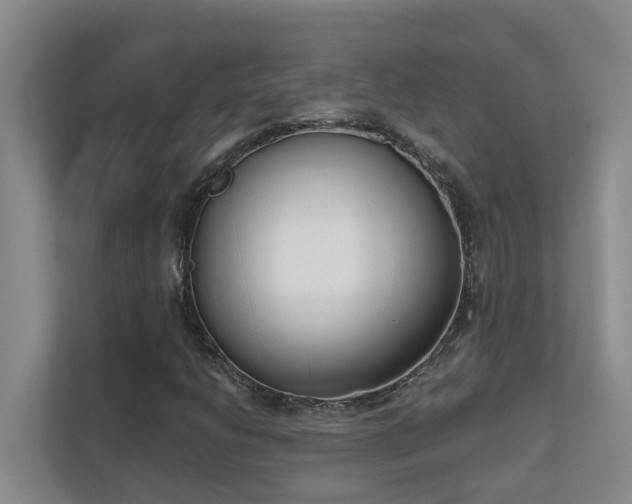 X0000111621206200907171237