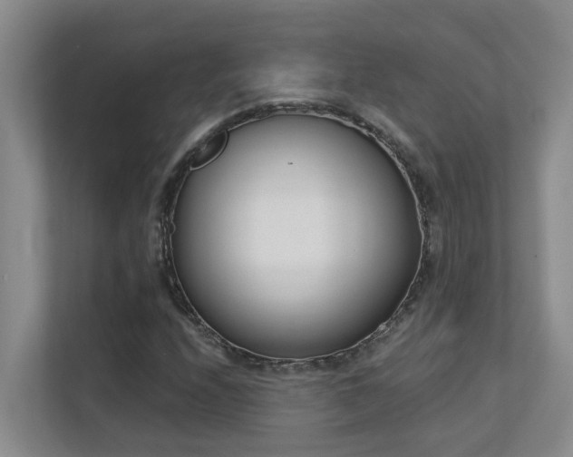 X0000111621208200907171237