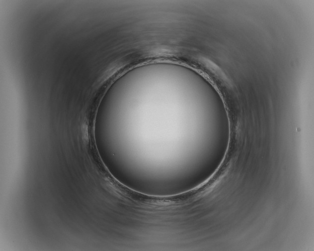 X0000111621209200907171237
