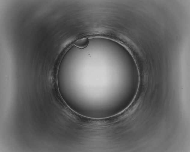 X0000111621210200907171237