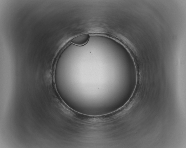 X0000111621212200907171237