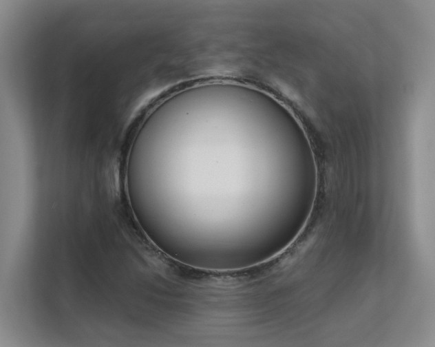X0000111621214200907171237