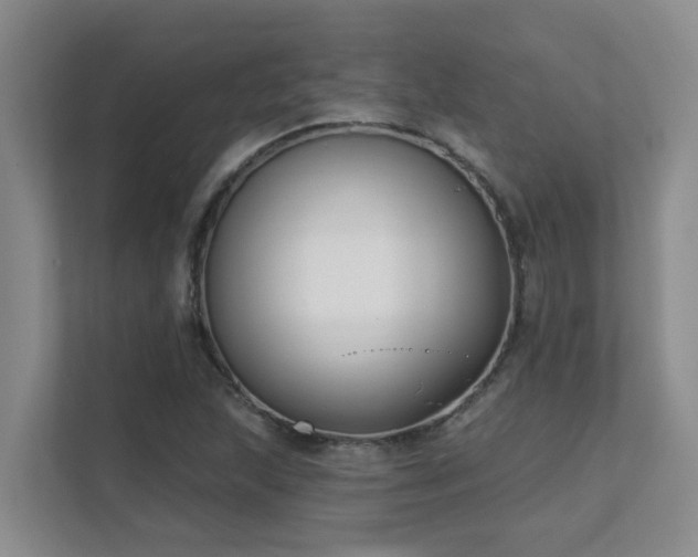 X0000111621215200907171237