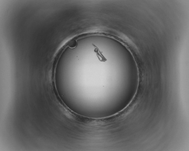X0000111621216200907171237
